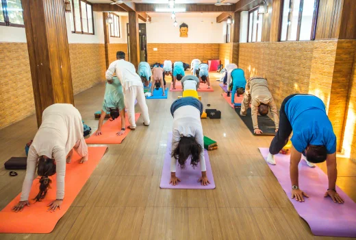 Yoga 3
